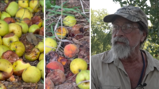 Illegal fruit dumping at South Omaha's Mandan Park raises concerns
