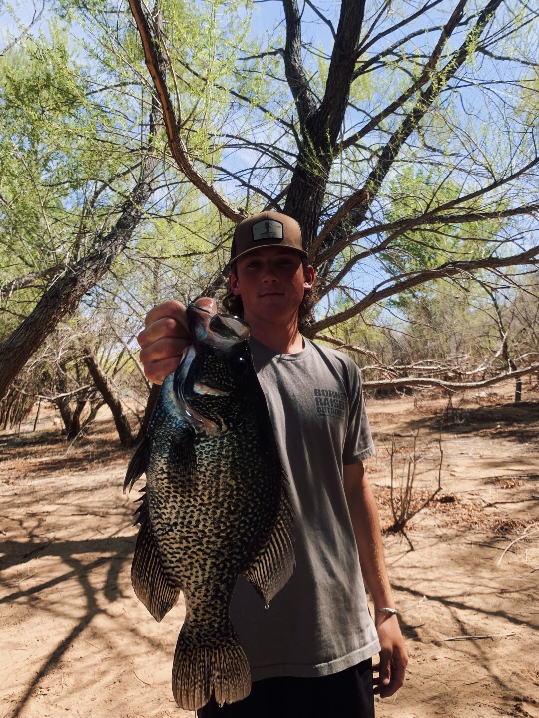 Record black crappie caught by Draygen Picklesimer.jpeg