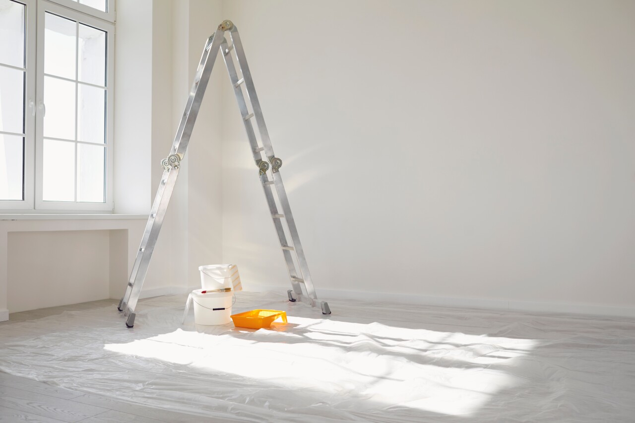 Painting supplies