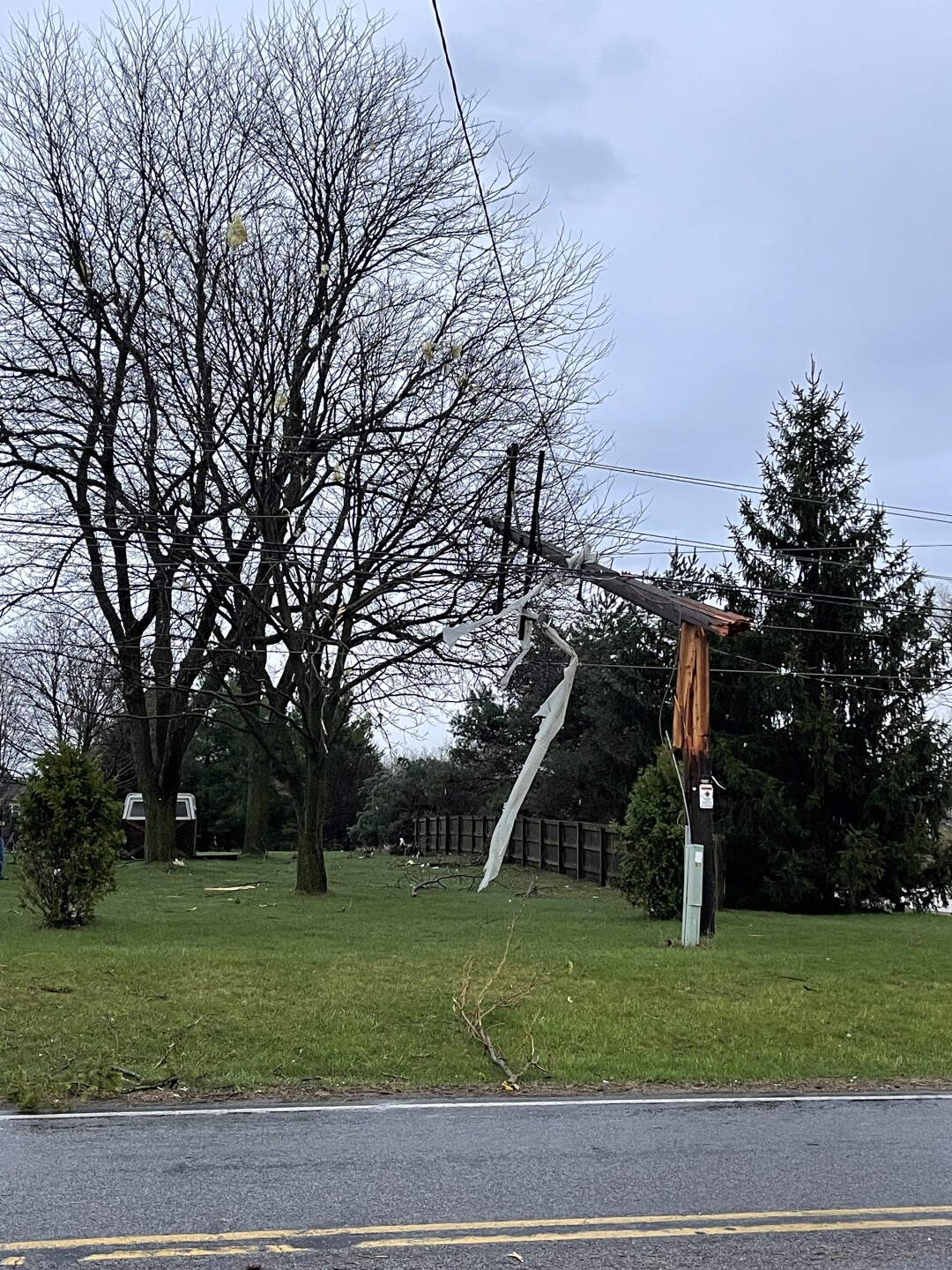 sussex cleanup 5.jpeg