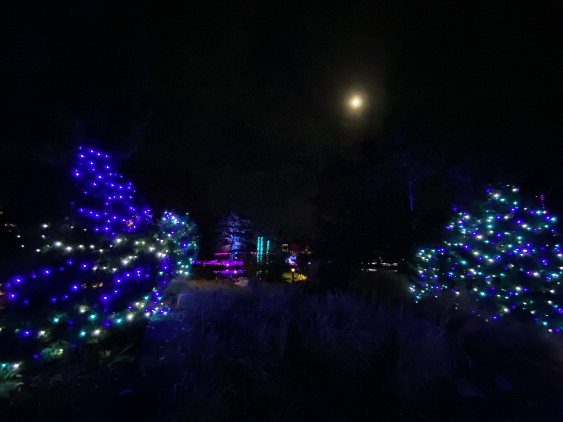 🎄Dominion Energy GardenFest of Lights 2024🎄