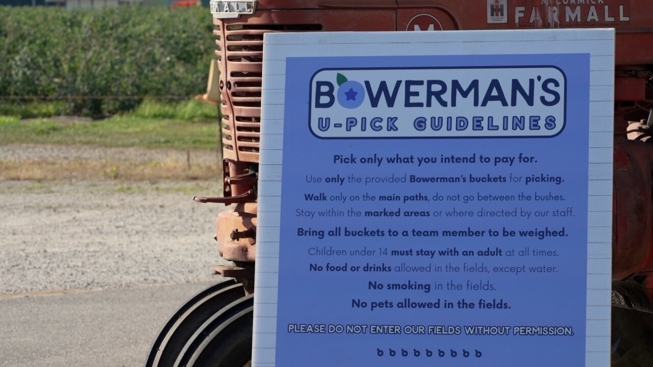 BOWERMANS.jpg
