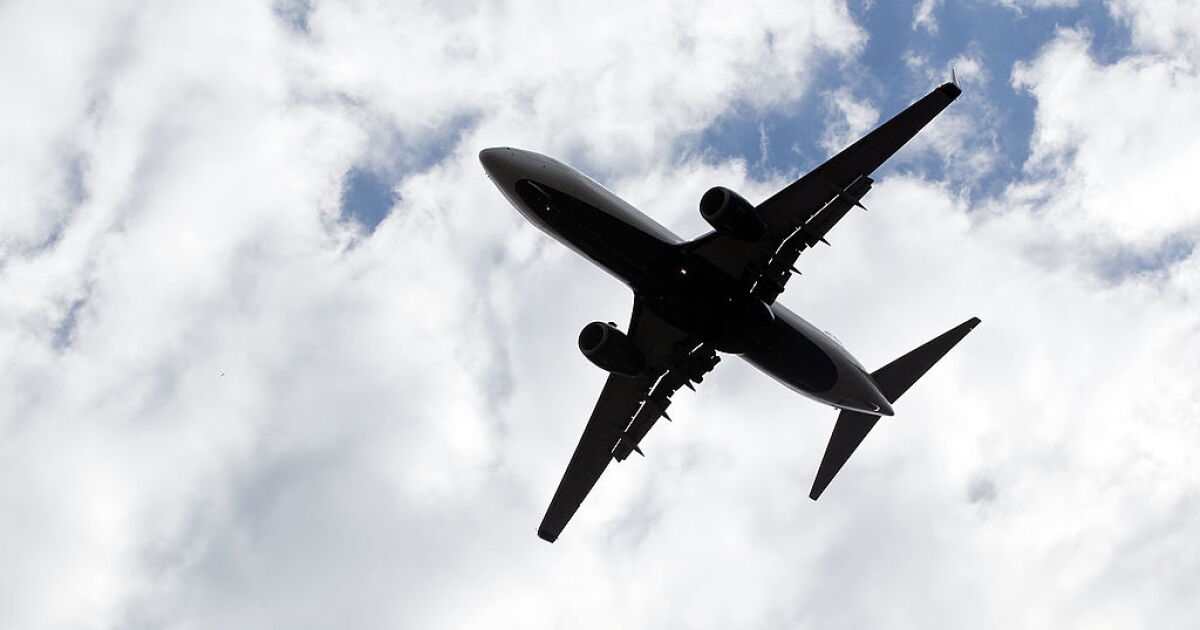 San Diego man warns of third-party airline ticket websites - Vimarsana News