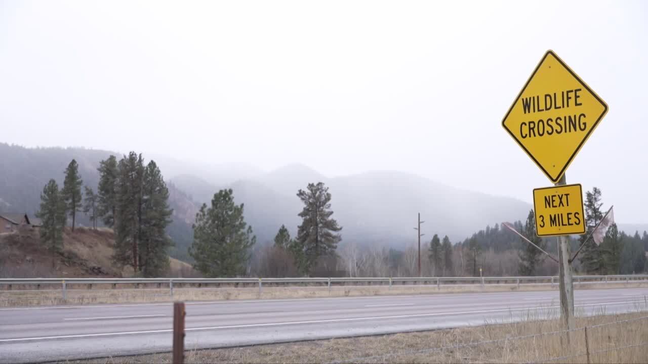 Wildlife Crossing Interstate 90