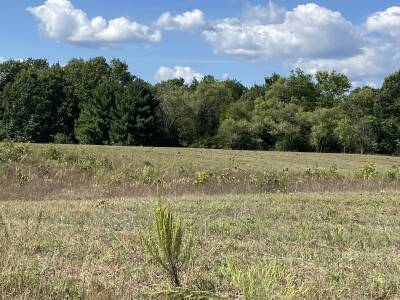 Wautoma bones property
