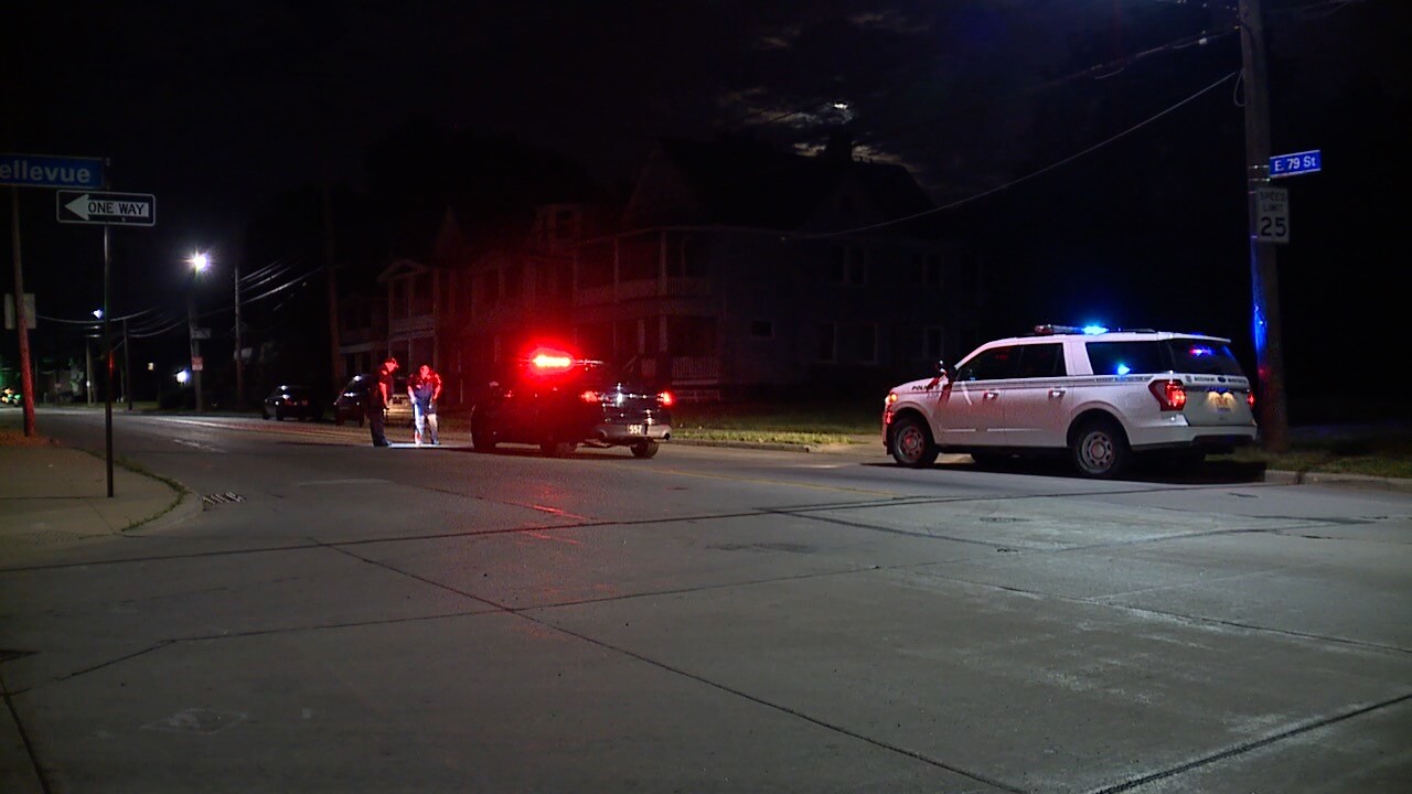 E79 pedestrian hit.jpg