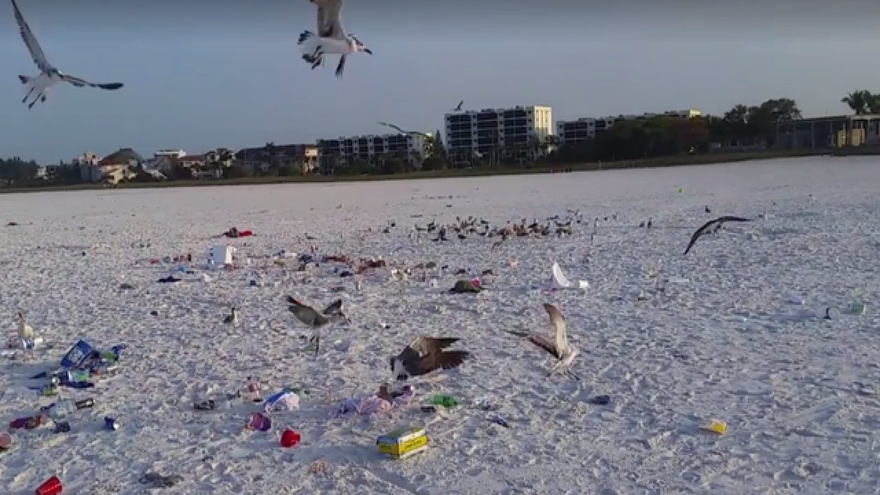Siesta Key Beach Trashed Over Memorial Day Weekend
