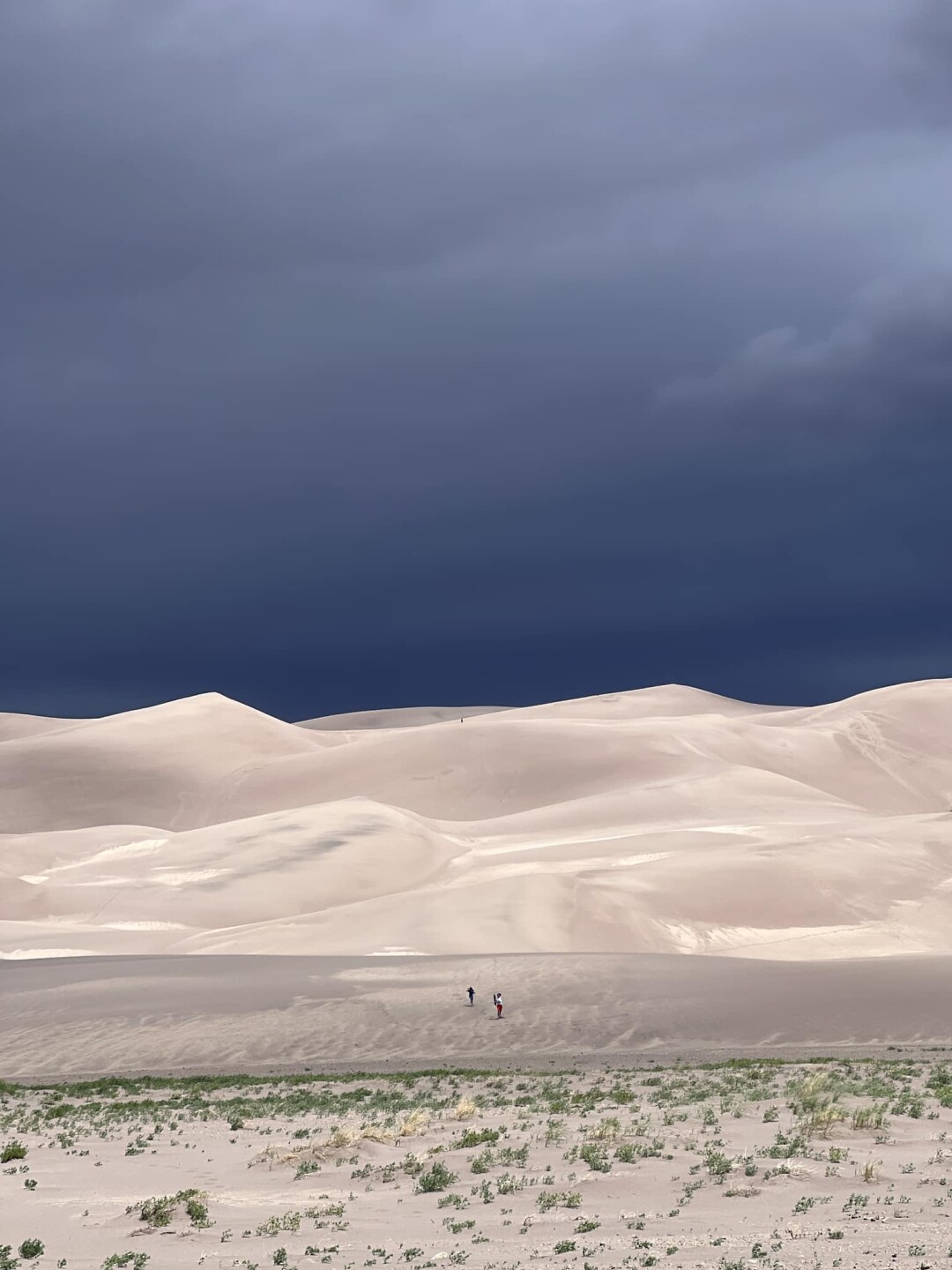 17 - Morgan Woods - sand dunes.jpg