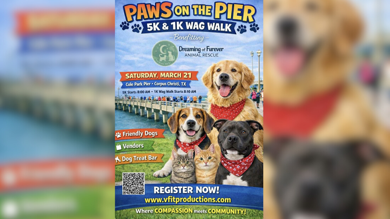 Paws on the Pier 5K & 1K Wag Walk