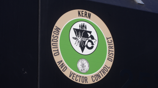 Kern County mosquito season outlook: What residents need to know this summer