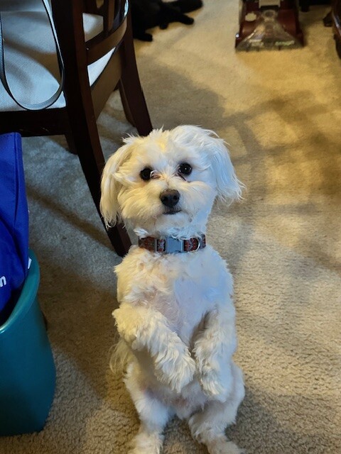 willie dawson thursday.jpeg