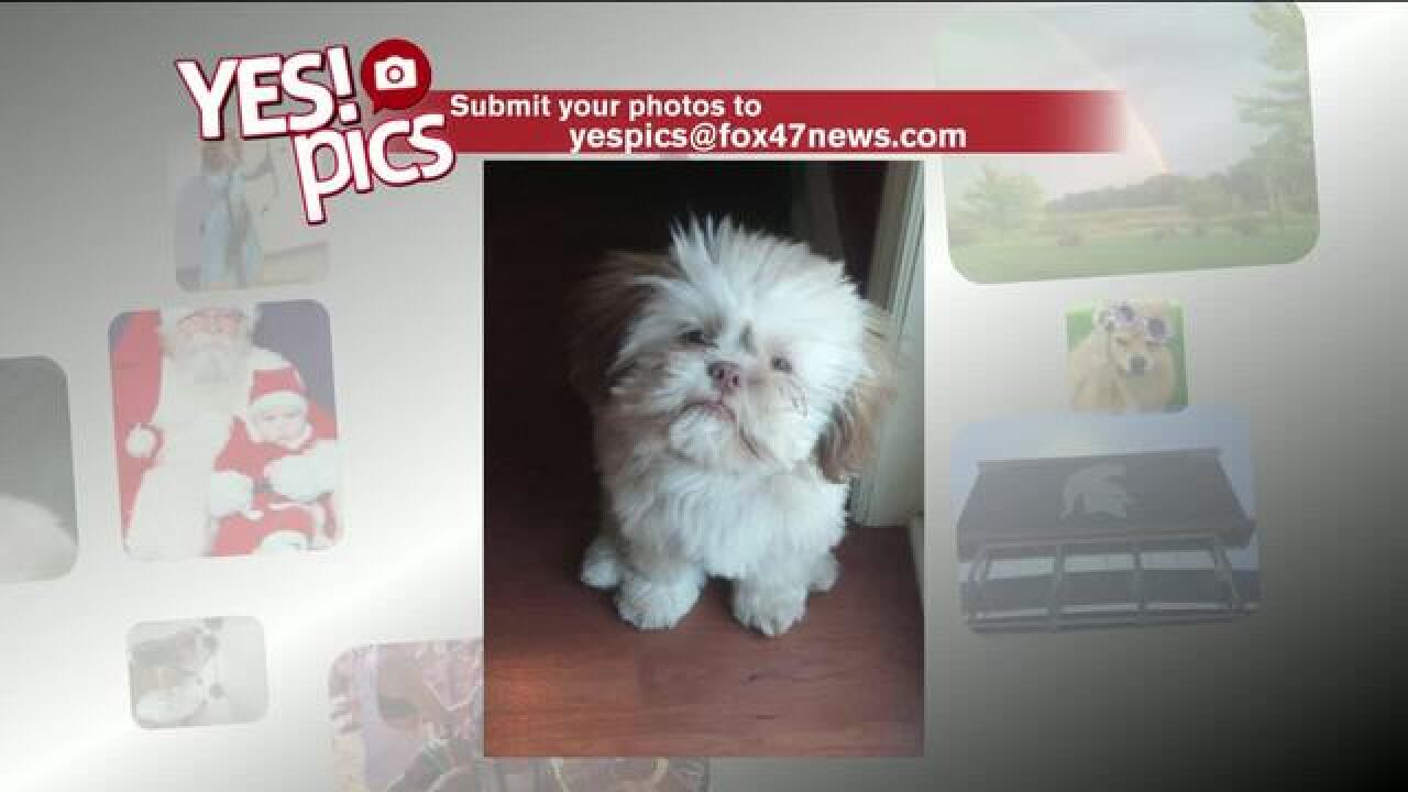 Yes! Pics: 5/29/18