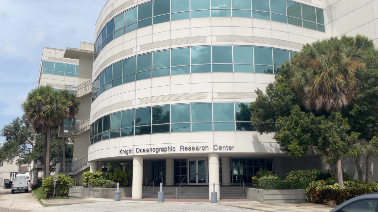 Heavy rainfall, symptom of climate change in Florida