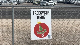 treecycle