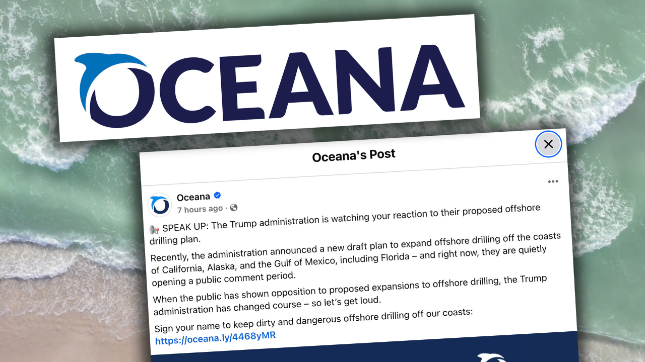 DO NOT DELETE - For Full Story Photos - 2025-12-03T222844.705.png