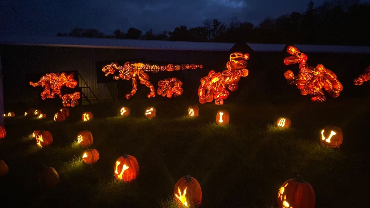 Rules Ingham County Fair Jack O' Lanterns Unleashed Giveaway