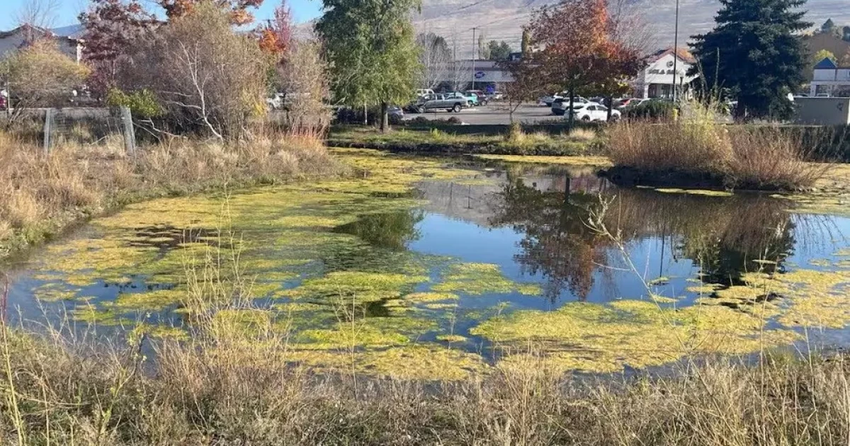 City of Missoula looks to address stormwater runoff, protect aquifer – KPAX News City of Missoula looks to address stormwater runoff, protect aquifer – KPAX News