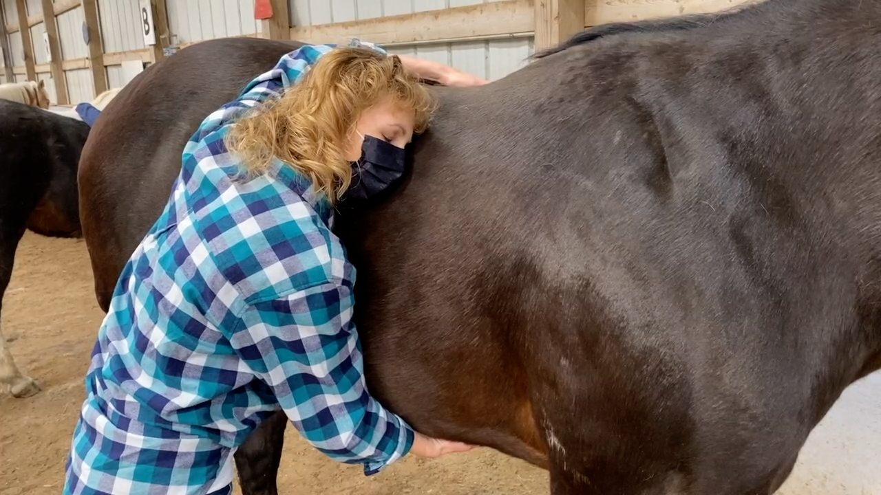 Milestones in Independence.png