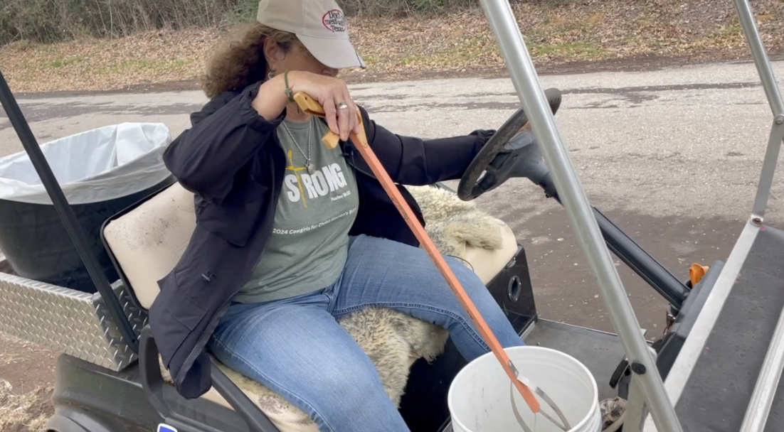 Leon County woman transforms 'Tin Can Alley' through volunteer road cleanup efforts