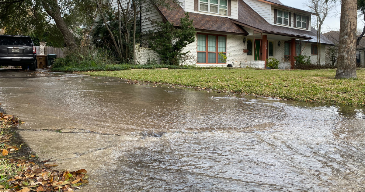 20-foot geyser erupts in back yard over night - Vimarsana News