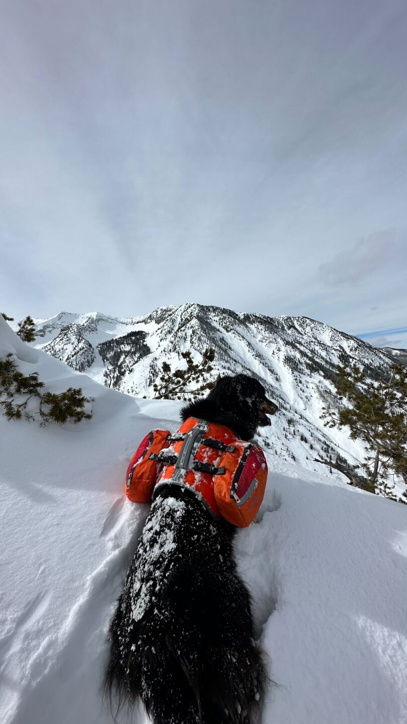 ullr in mountains_Jacob Dalbey