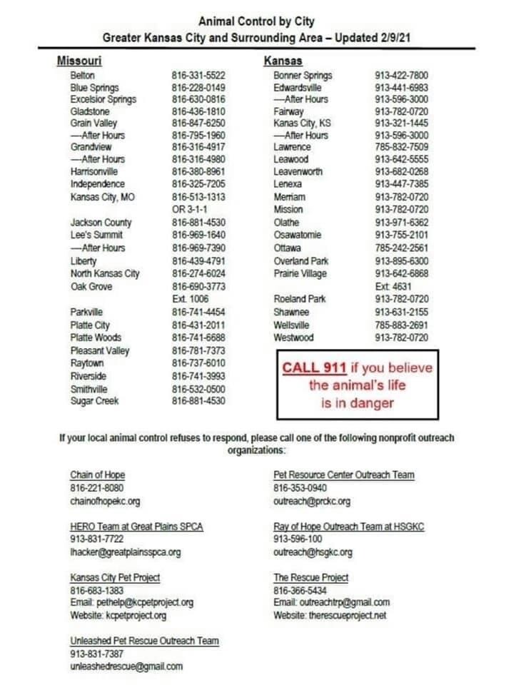 animal assistance.jpg