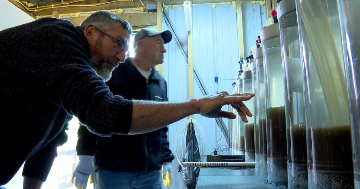 Walworth County Volunteers restart Walworth County fish hatchery to keep Geneva Lake stocked Taj Simmons