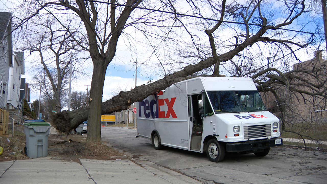 TREE ON FEDEX TRUCK.png