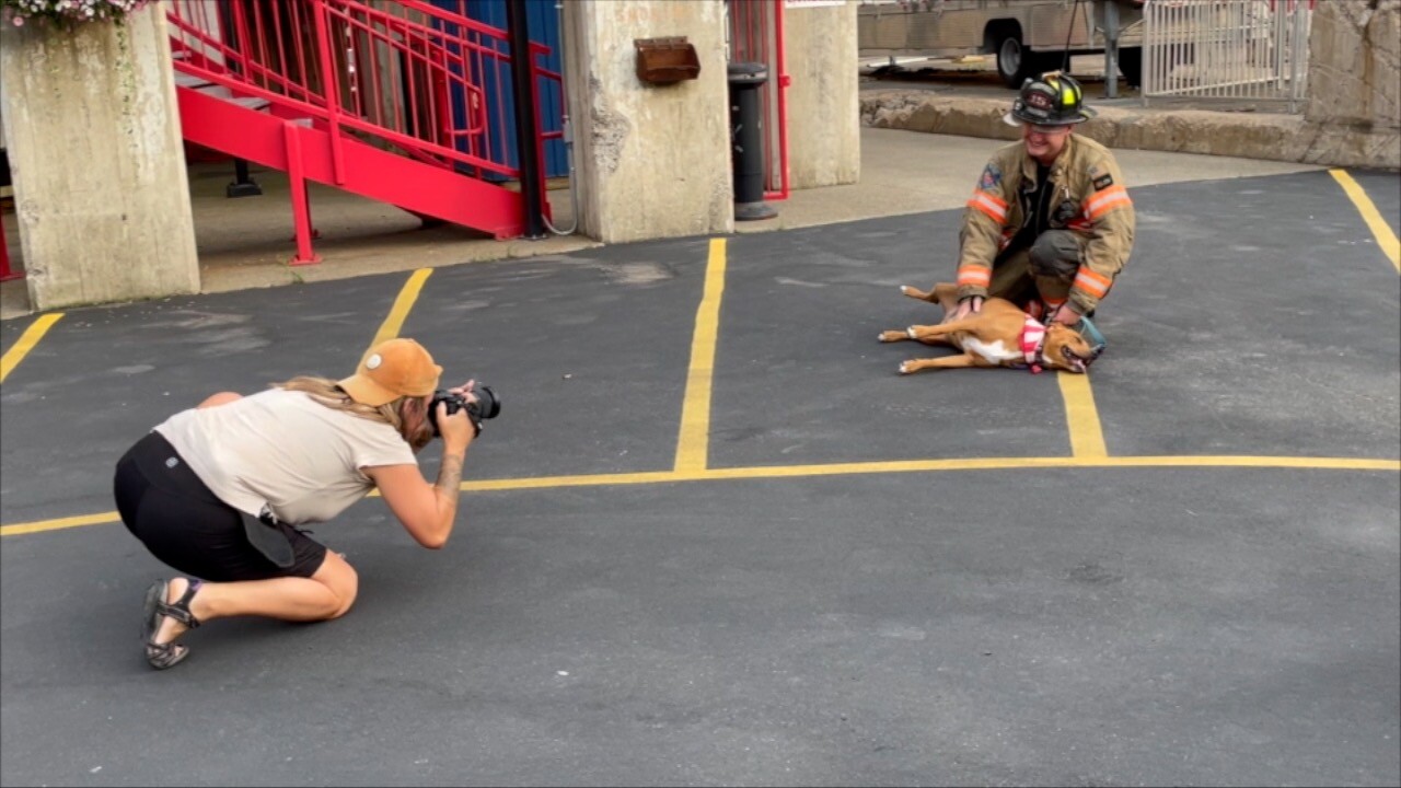 Firefighter and Dog.jpg