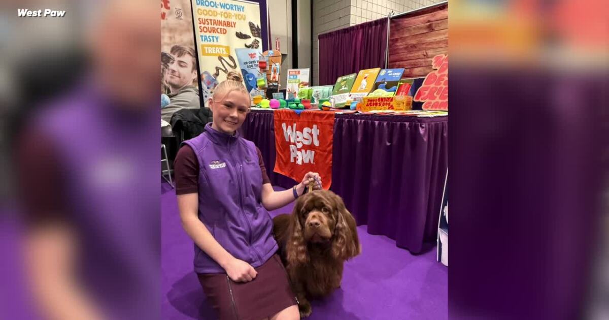 Bozeman company's dog toys awarded to Westminster Dog Show champions