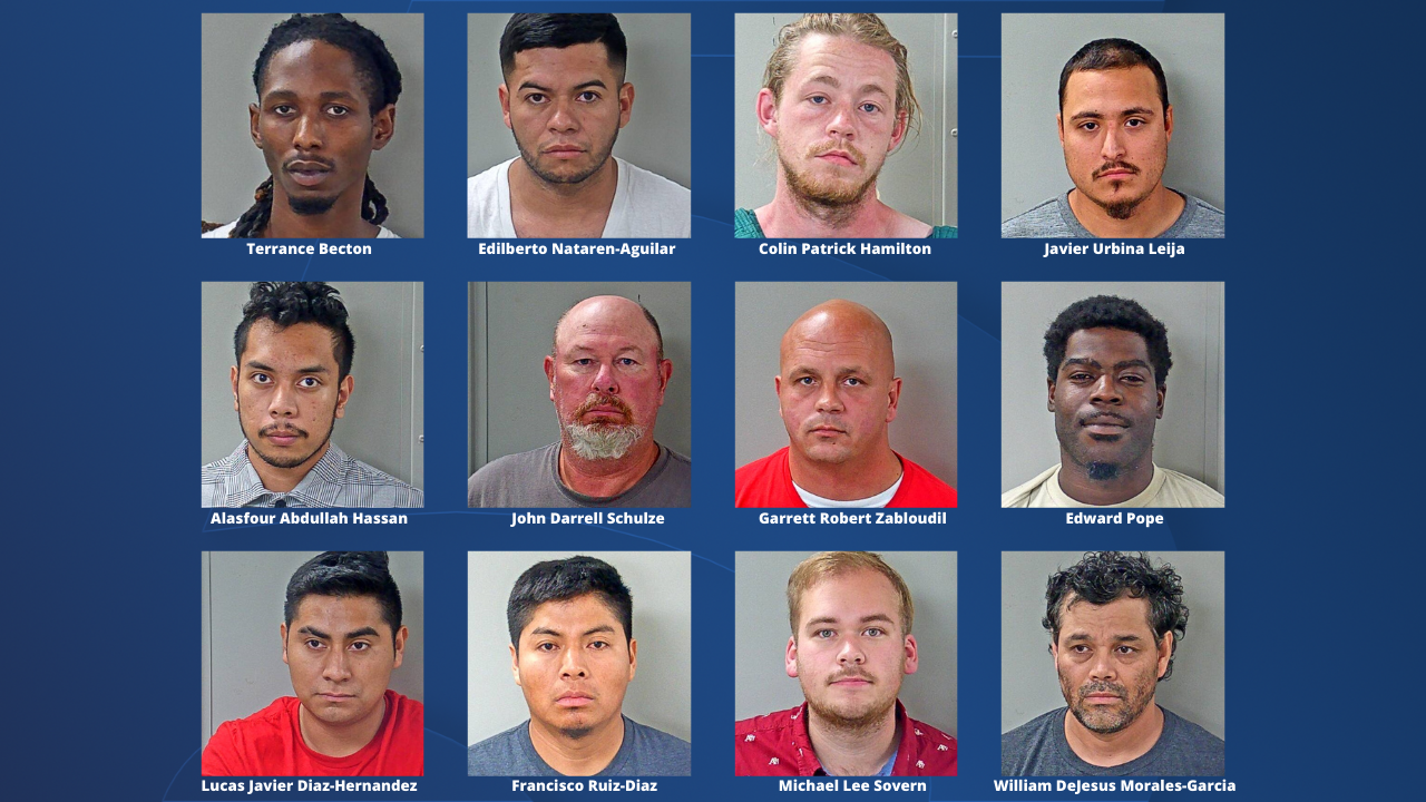 TBI human trafficking arrests