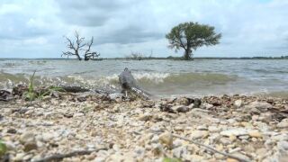 Lake Waco 