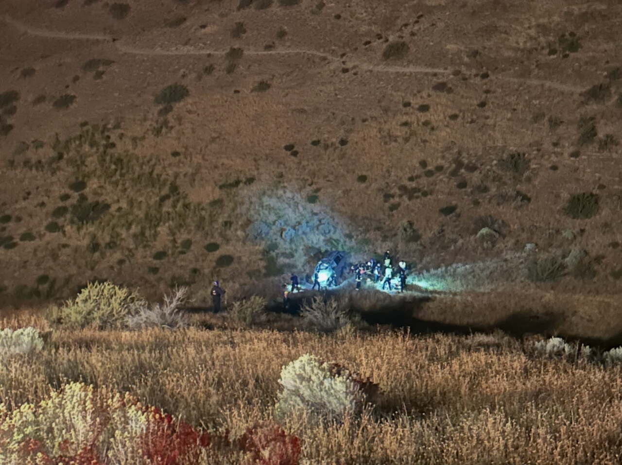 Boise Hillside Rescue