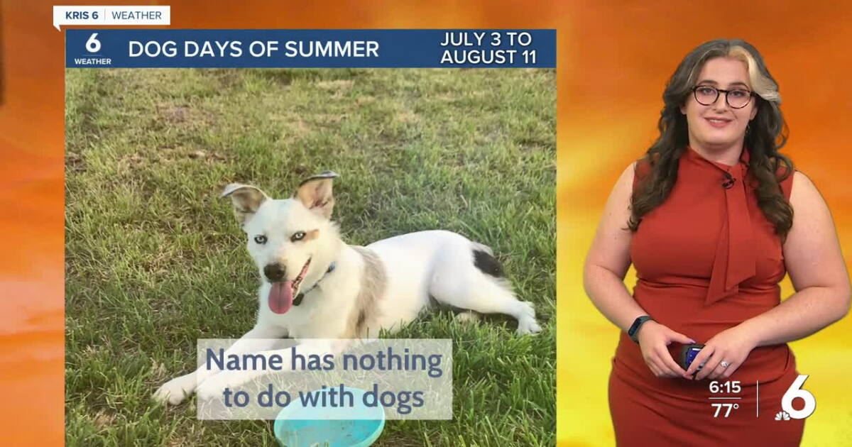 Dog Days Of Summer Blaze On dog-days-of-summer-blaze-on