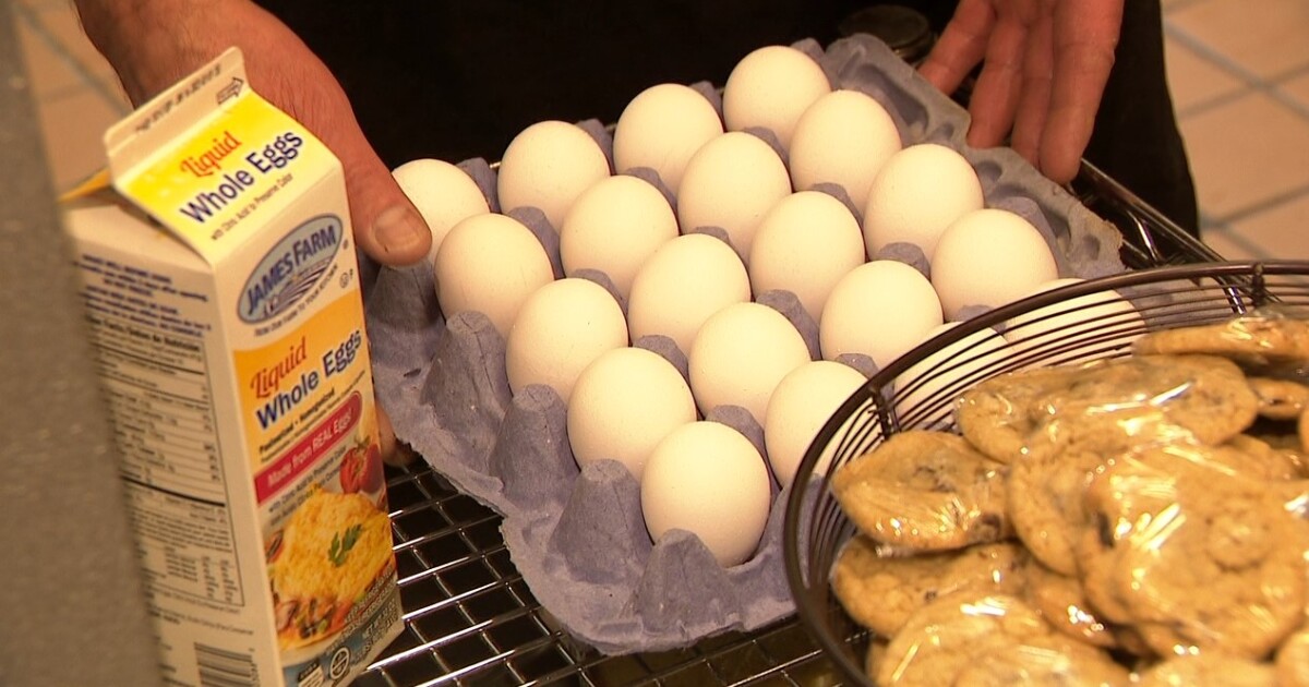 Eggflation And Its Influence on Meals Inflation
