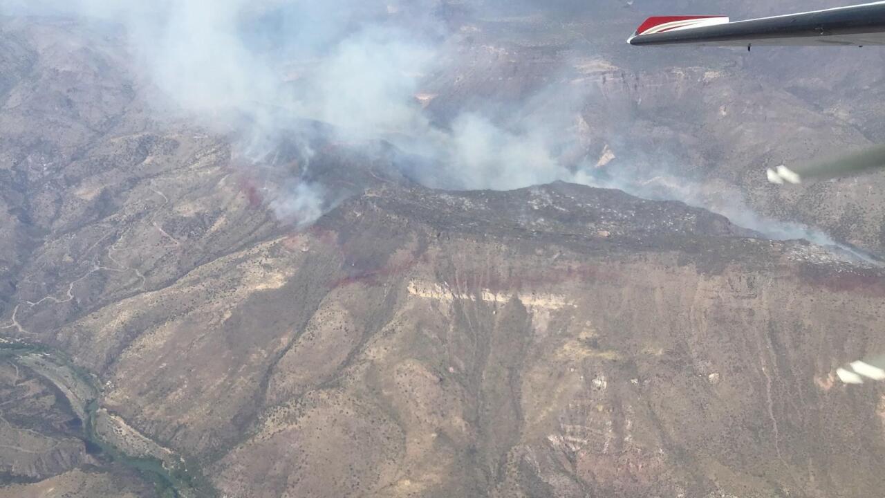 backbone fire strawberry az