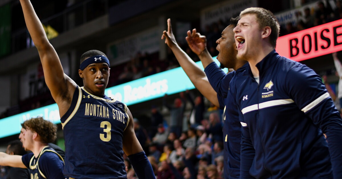 Bobcat postgame: Matt Logie, players break down quarterfinal win vs. Weber State - Vimarsana News