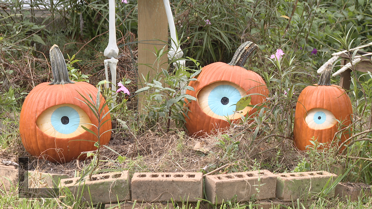 Getting creative this Halloween