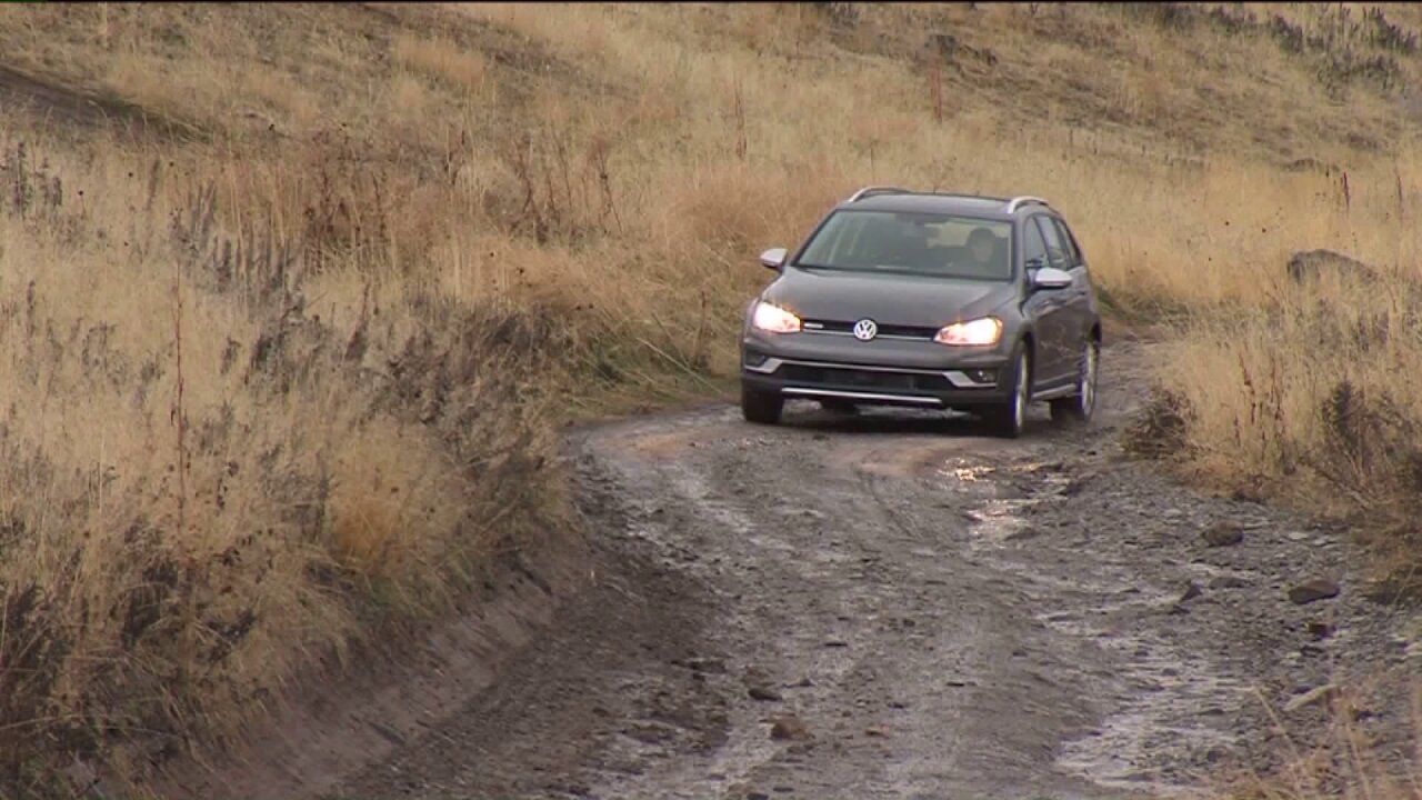 A wagon and crossover suited to shooting trips in the hills