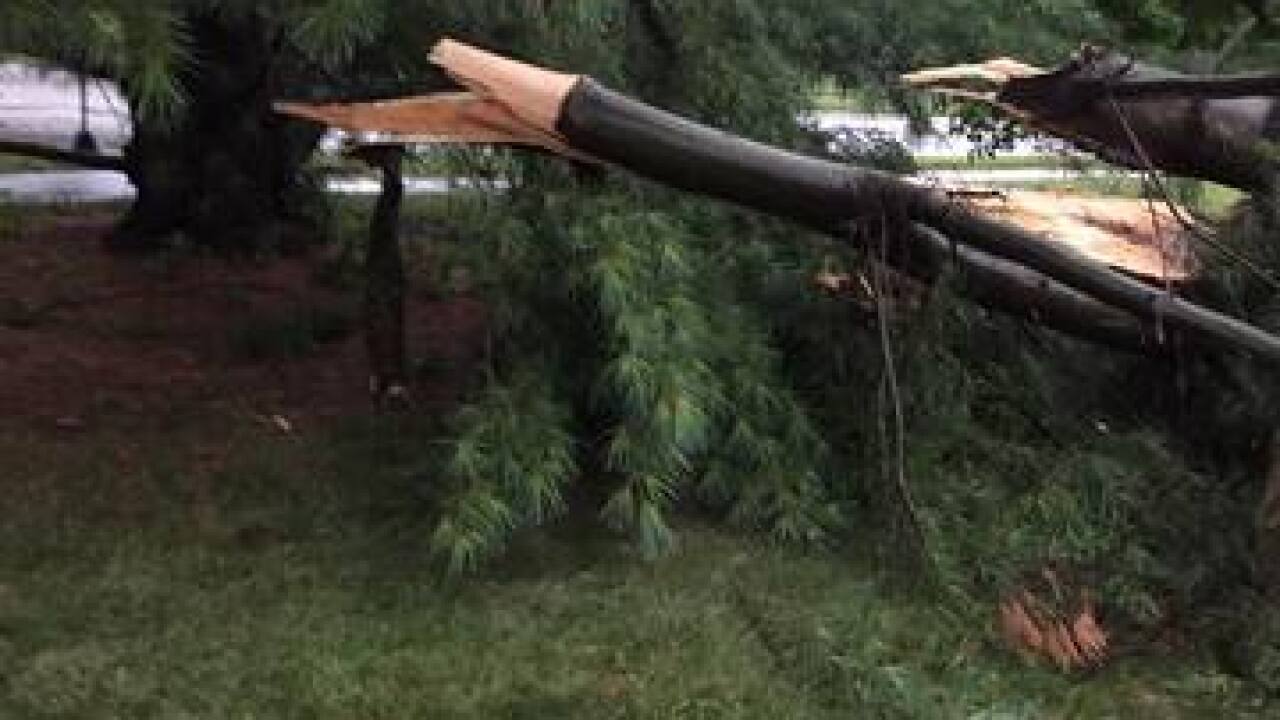 PHOTOS: Ominous skies and storm damage