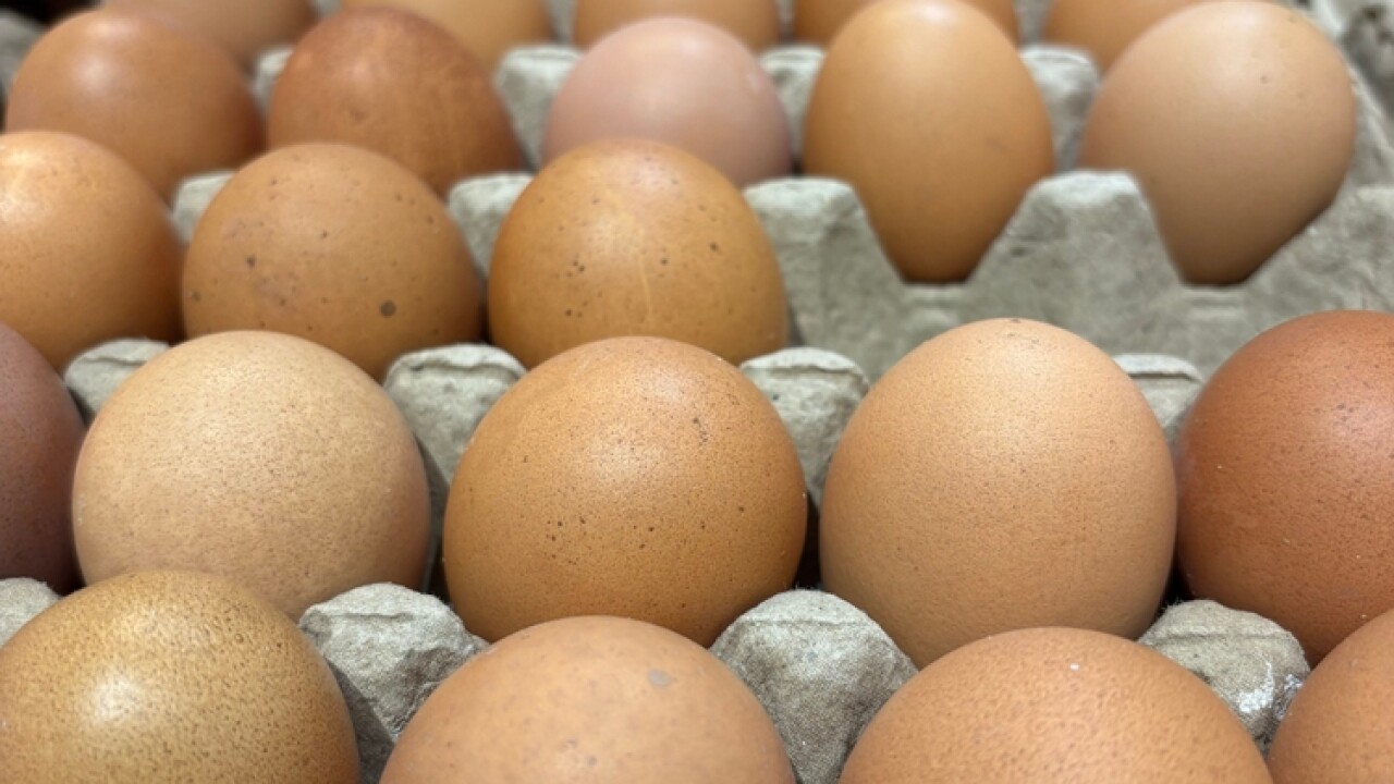A,Neatly,Arranged,Tray,Of,Brown,Chicken,Eggs,In,Rows,