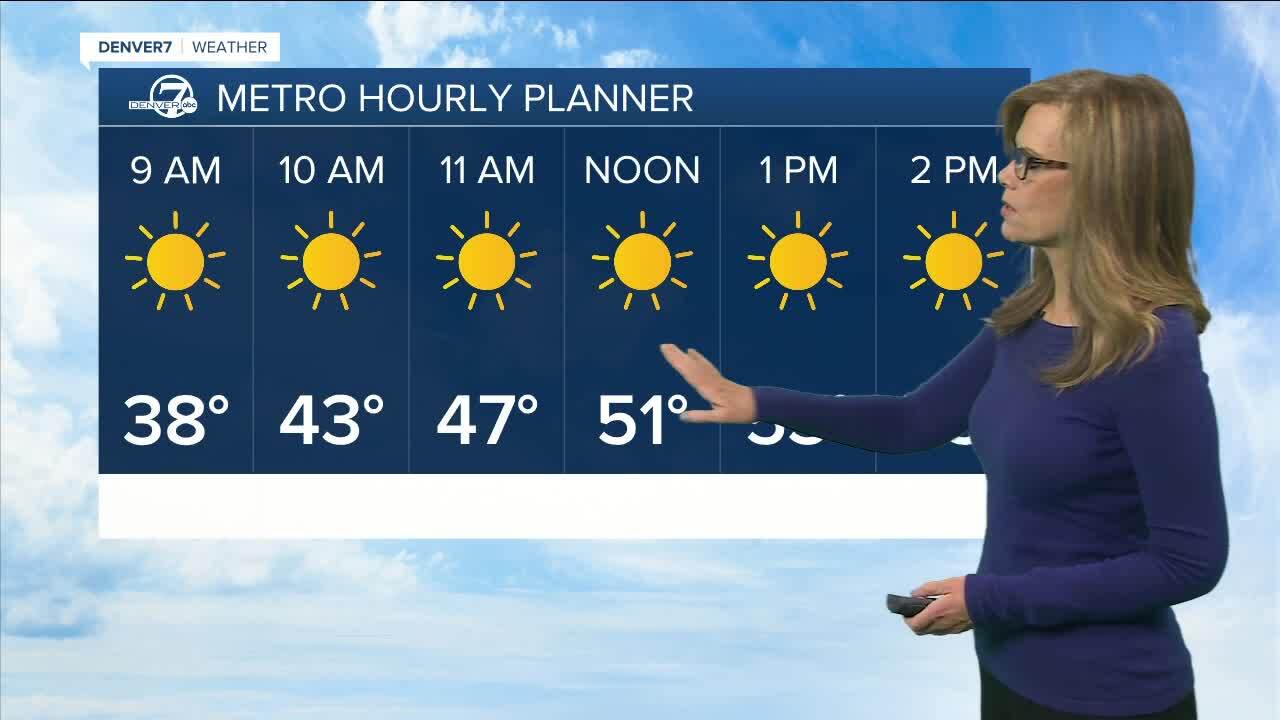 Monday hourly planner