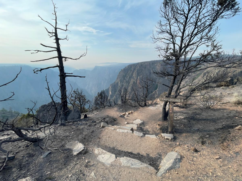 South Rim Fire