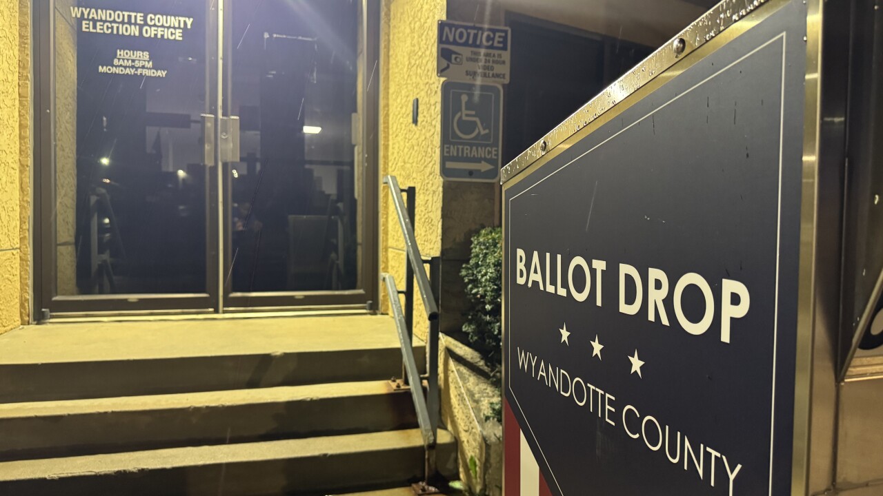 Wyandotte County voting