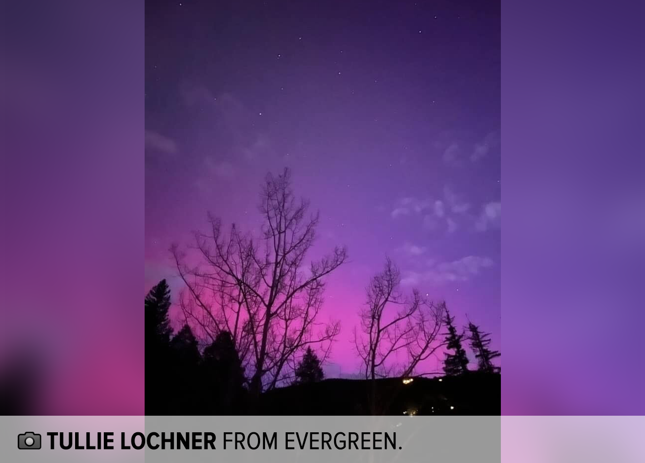 tullie lochner from evergreen.png