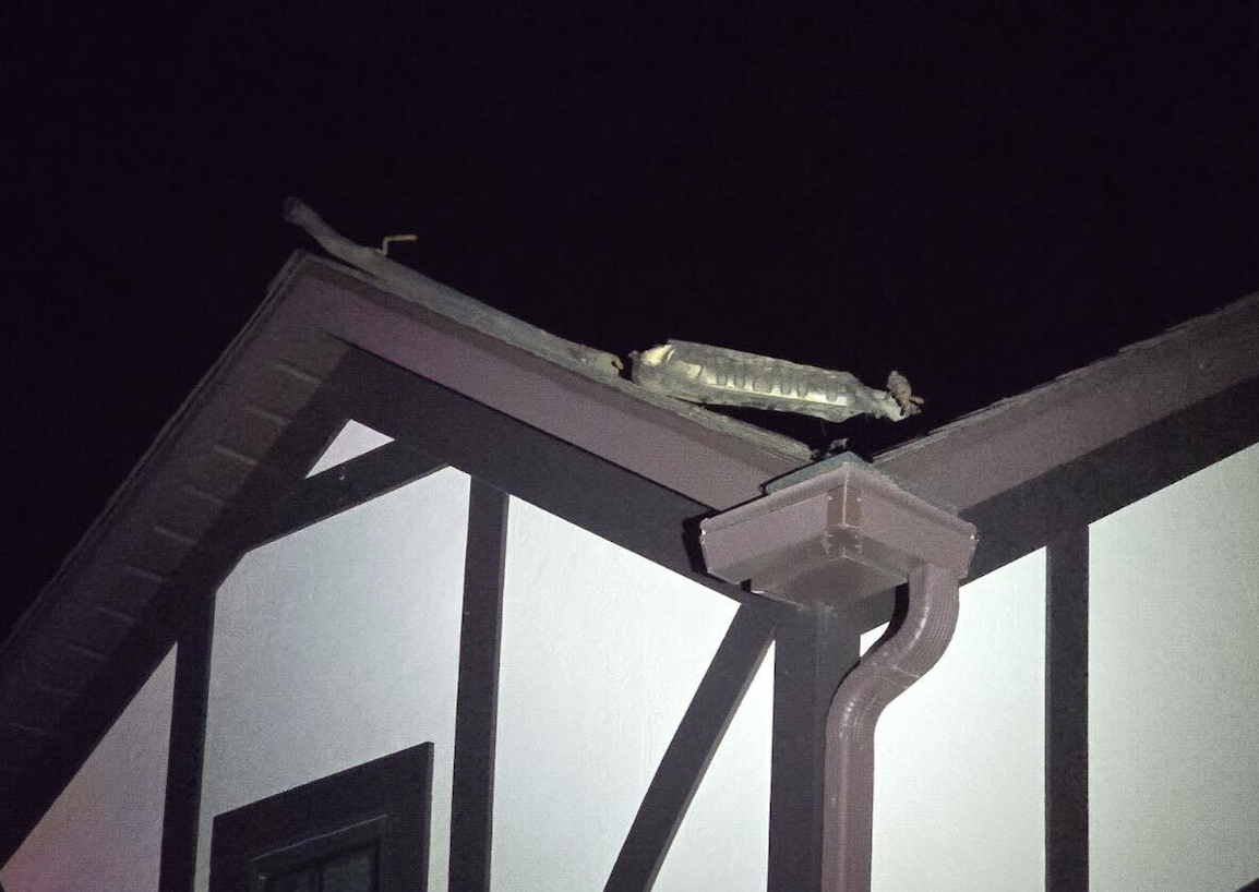 Screenshot 2024-06-07 at 1.39.18 PM.png