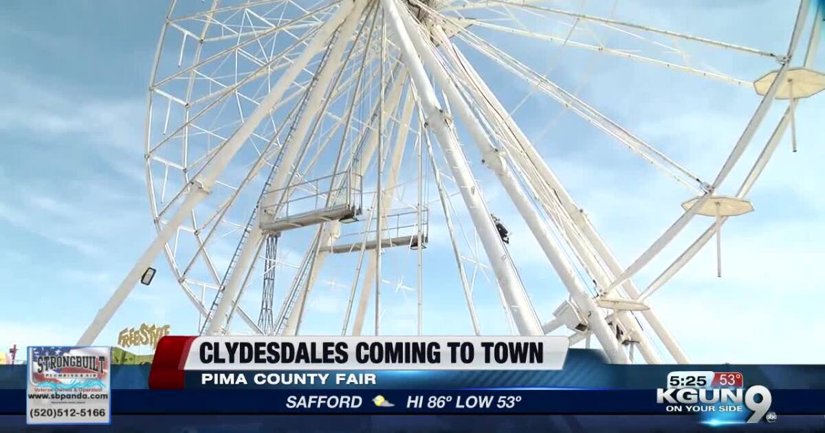 Pima County Fair Tickets Now Available At Fry s pima-county-fair-tickets-now-available-at-fry-s