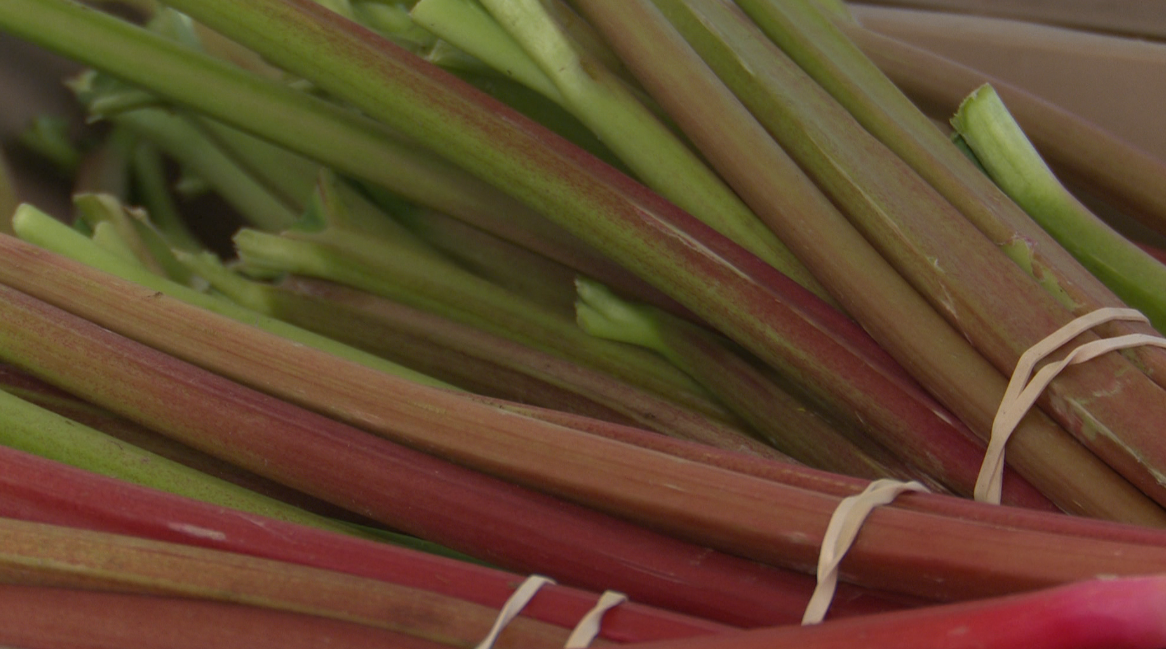 F.R.E.S.H. Project kicking off 3rd mobile market