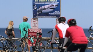 Federal Shark Alerts