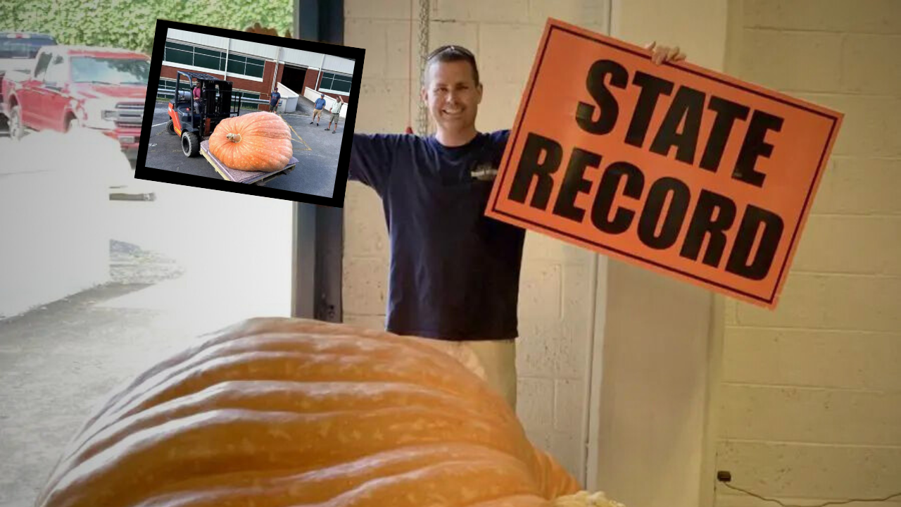 Dustin Price Virginia state record pumpkin